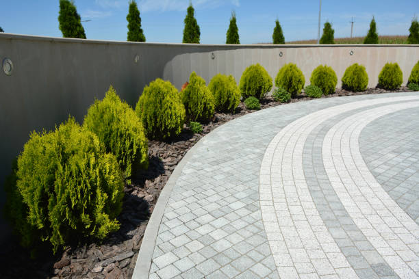 Reasons to Select Us for Your Driveway Paving Requirements in Williamson, WV
