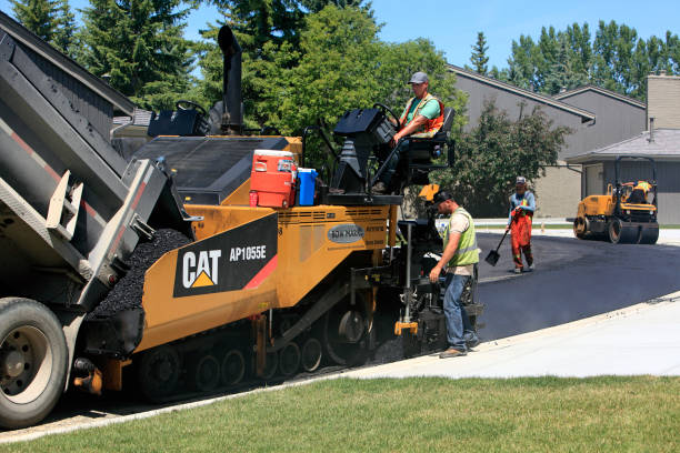 Best Residential Driveway Paver Services  in Williamson, WV